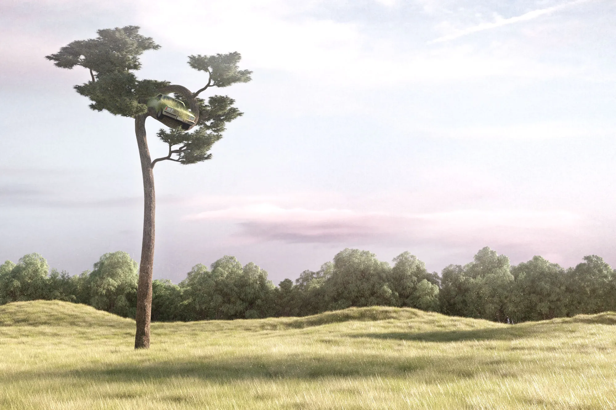 Natural Spaces Vol.1