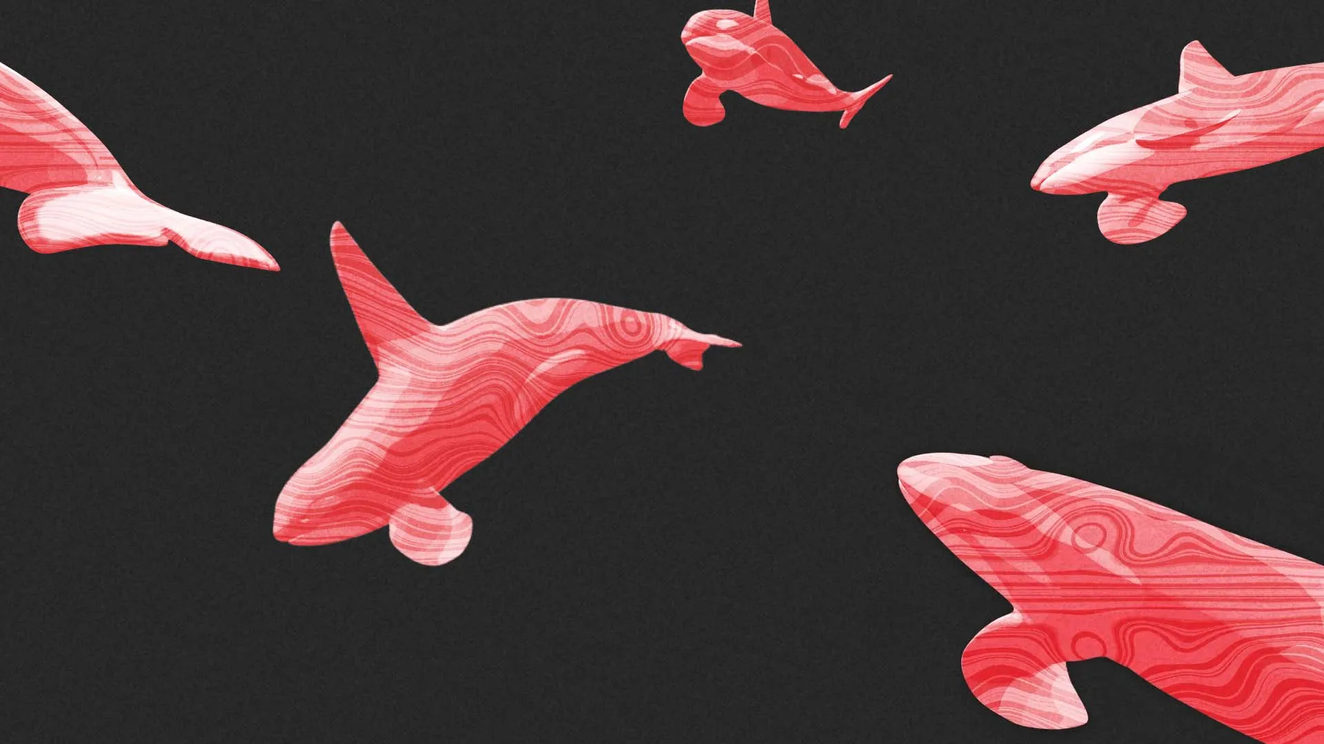 Journey of a Plastic Bag